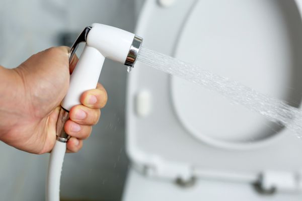 Cost of Bidet Installation in Aurora