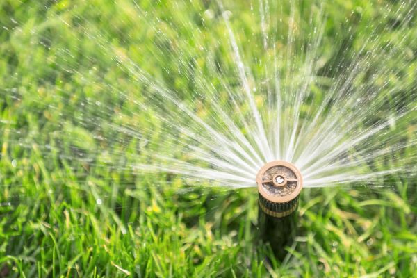 Cost of Spigot Installation in Aurora
